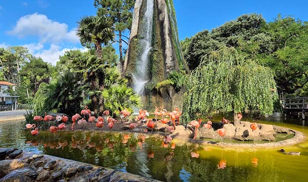 Zoo de la Palmyre proche du camping Parc de Bellevue