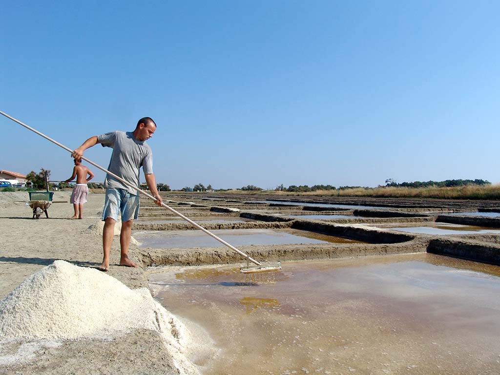 Marais salants en Charente Maritime proche du camping