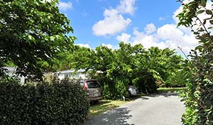 Allée du camping Parc de Bellevue avec ses locations d'emplacement