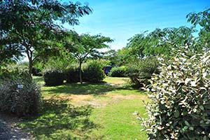 Très beau parc paysager avec emplacement de camping à Arvert