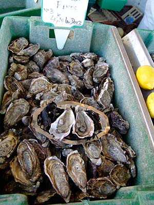 Huîtres d'Oléron à déguster en Charente Maritime