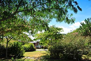 Le parc du camping Parc de Bellevue à Arvert en Charente Maritime