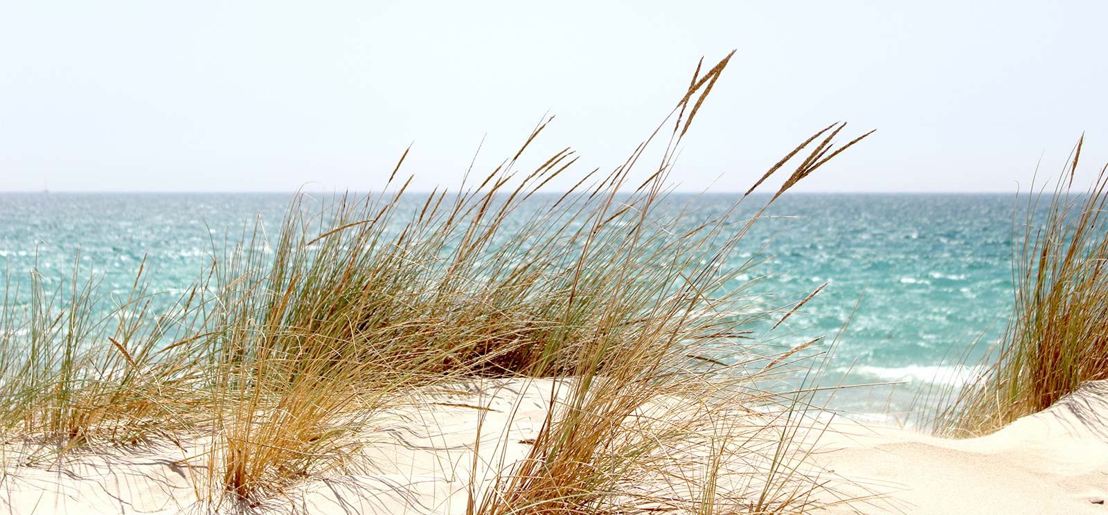 Dune sur une plage de l'Atlantique proche du camping Parc de Bellevue