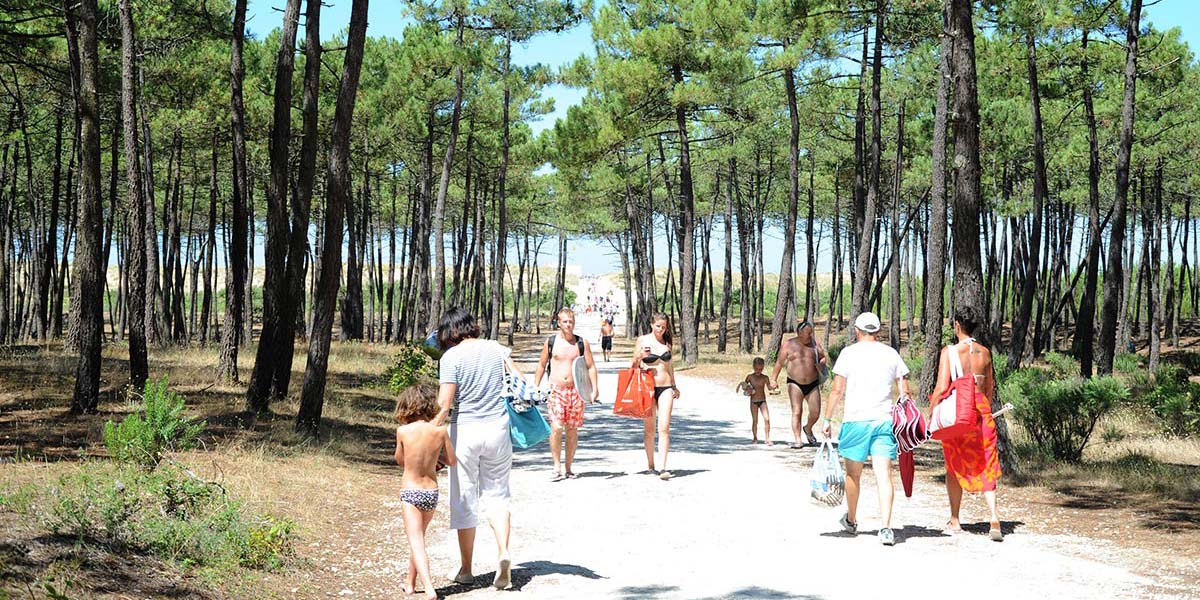 Chemin vers la plage à travers la forêt à Arvert (17)