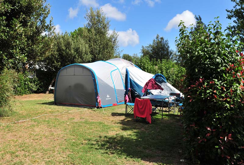 Vue du parc arboré avec emplacement pour tente à Arvert